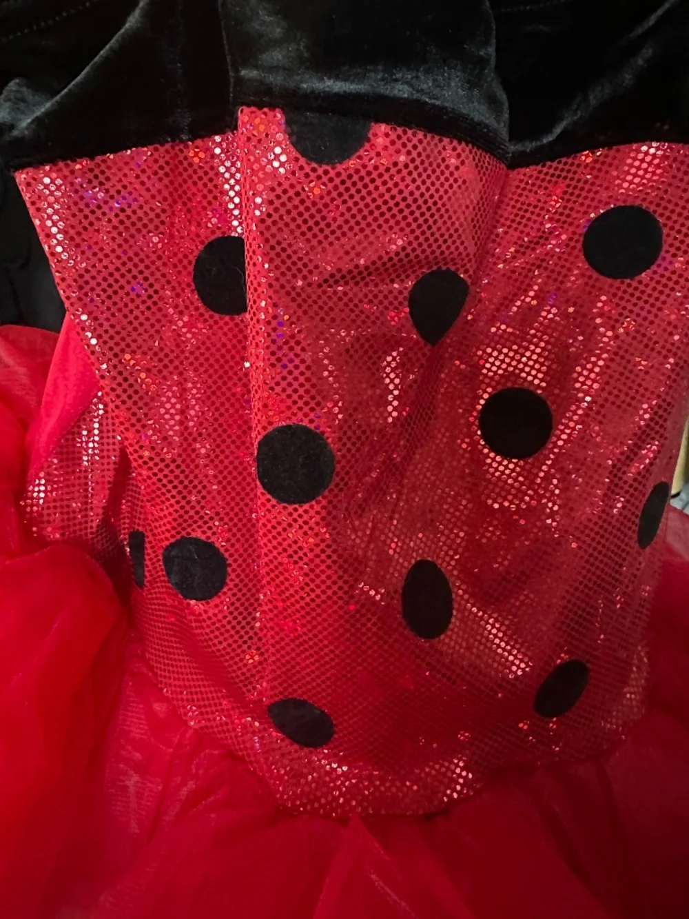 Little Lady Bug Costume or Dance Outfit (5-6yr girls) Small/Medium in childrens.